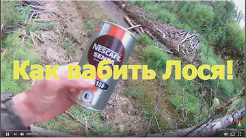 Как вабить лося!