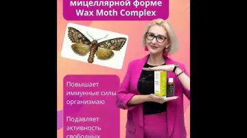 Сказка на ночь от Светланы Ляпшиной