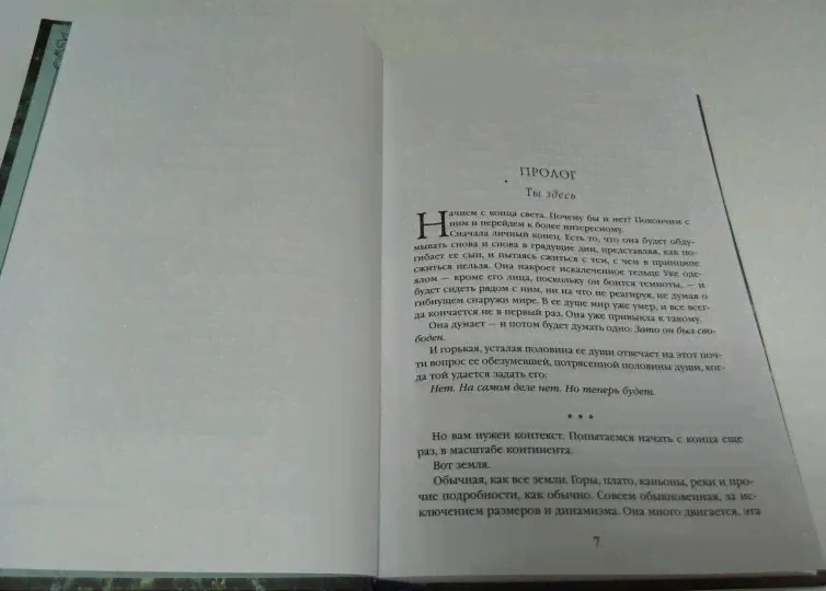 Расколотая земля. Книга 1. Пятое время года-4