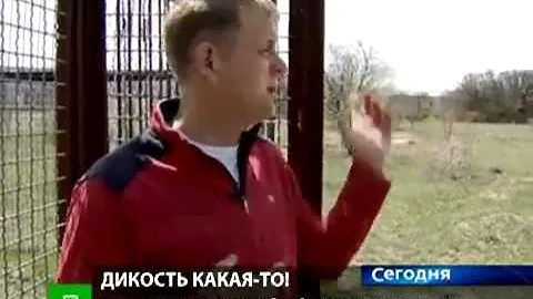 Открытие сафари-парка Тайган