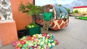 ВНИМАНИЕ! Всем, кто хочет посетить Парк Львов Тайган!!!