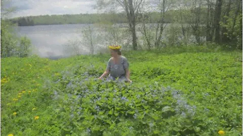 Час с ИрЛеЙаСа 23 05 2024